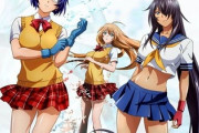 好きなアニメが「一騎当千、けんぷファー、クイーンズブレイド、ハイスクールD×D、閃乱カグラ」なんだが…