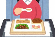外国人「日本から全日空とユナイテッド航空に乗ったけど…機内食が驚くほど違った！」比較写真で盛り上がる