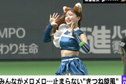 日ハムの「きつねダンス」ｗｗｗｗｗｗｗｗｗｗ