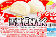 アメリカ流『雪見だいふく』の売り方が豪快すぎる！！「2個なんかじゃ足りねえよなぁ！！！！！」
