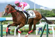 【競馬予想】[1]第26回 ユニコーンステークス(G3) /2021