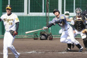 阪神ドラ4栄枝が紅白戦で12球団新人最速の適時打　小野の真っすぐをジャストミート
