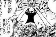 ワンピースってなんで海賊漫画なのにお宝出てこないの？