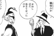【ドラゴンボール】「鶴仙人」←舞空術考案したすごい人 「亀仙人」←こいつ