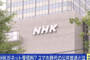 NHK「スマホから受信料徴収するわ。月額1100円、解約はスマホ廃棄が条件ね」