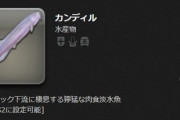 【FF14】ピラニアより危険な魚として有名な「カンディル」、ついにFF14に登場。グラカン漁師の納品対象に