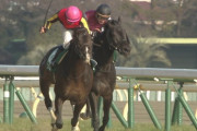 【競馬】中長距離重賞4勝のフェイムゲーム、去勢されせん馬に「鞍上の指示に反抗することが多くなったため」と管理の宗像師