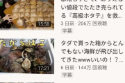 【悲報】きまぐれクックさん、魚を捌くだけで日本一のYouTuberを超えてしまう