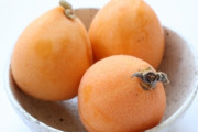 学校給食で『びわ』提供　児童生徒126人にアレルギー反応　1人が入院　山梨