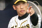 阪神、助っ人８人全員不在でキャンプインの可能性