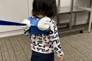 子供へのハーネスはあり？なし？