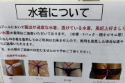 【悲報】公共プール「このような風紀上好ましくない水着はご遠慮ください」　（画像あり）
