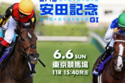 第71回 安田記念 (GⅠ)