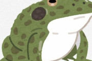【悲報】トノサマガエル、カスみたいな生態をしていた