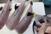 【釣り部】５ｃｈ民、フグを調理してしまうｗｗｗｗｗｗ