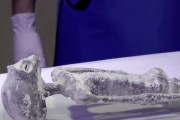 【真偽】現代人さん...メキシコで発見された宇宙人のミイラが本物だというニュースを受け入れられない模様