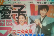 【朗報】元AKB48 大島優子さんご懐妊！！今冬出産予定！！