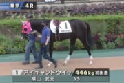 【競馬】アイキャン同意、オーナーのミスだった…