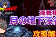 【FF14】10分でわかる！？6.5新ID「深淵潜行 月の地下渓谷」攻略解説動画のご紹介！