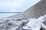 基本嘘つき　〜　辺野古抗議団体「事故当日の海は穏やかだった。海人が言ってた」　漁協「嘘乙」