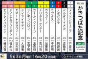 5/3(祝・月) 名古屋11R 第23回 かきつばた記念(JpnⅢ) 発走16:20