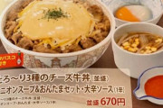 【画像】すき家さん、例の画像のセットメニューを販売してしまう