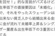 【悲報】アニメアイコン、強者男性の『種だけバラ撒き少子化対策』を実行した国の末路を解説するｗｗｗｗ