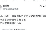 【悲報】トー横キッズ、友達が海外に売り飛ばされてしまうｗｗｗｗ