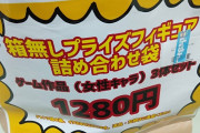 【悲報】フィギュアの福袋買ったんだけど誰だかわからない