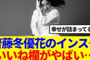 【元櫻坂46】齋藤冬優花のインスタ、いいね欄がやばい…