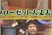 もしも矢口が不〇して芸能界干されなかった世界線があったら