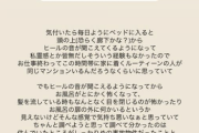 【元AKB48】小嶋真子さん、事故物件に住んでいたことを告白【こじまこ】