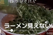 ラーメン屋で卓上にあるネギ全部ぶっかけたアホが炎上中…まさかお前らはこんなことやってないよね？