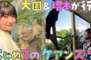 【初海外】ぞのきらのケアンズ満喫2人旅【オーストラリア】