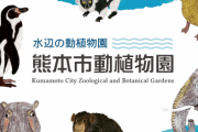 【熊本市動植物園】フンボルトペンギンに会ってきました