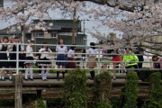 【画像】この段階で一岡の顔にボカシ入れてたグーグルって凄えなｗ