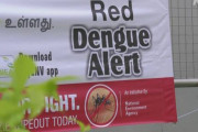 シンガポールでデング熱の感染　過去最多の2万2000人超に