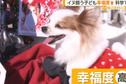 犬飼う子供は幸福度が高いことが科学的に証明wwwwwwwwwwww