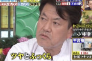 【悲報】ファミマ「ボロクソに言われたツナマヨおむすびはこちら！」炎上マーケティングに利用してしまう