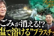 【速報】塩で溶けるプラスチックを日本企業が開発！これで海亀ちゃんの命が救われると話題に