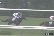 【競馬】ロードカナロア種付け料1500万円　←さすがにちょっと上げ過ぎだよな