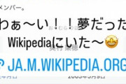 巨胸アイドル、自身のWikipediaが出来てはしゃぐ