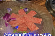 【朗報】宮迫さんの焼肉屋開店まであと1週間！！！！！！