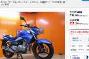 このバイクって地雷？？？