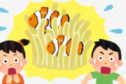 水族館にいるガキ「あ！！！！ニモがいる～～～～～！！！！！！（爆音）」