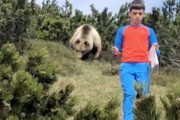【動画】ハイキング中に巨大なヒグマと近接遭遇してしまった12歳の少年。