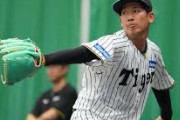 【悲報】阪神ドラフト1位の伊原と3位の木下、高卒3年目の井坪にボコボコに打たれる