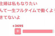 【悲報】女さん「稼げない男に価値はない！専業主婦になりたいんだこっちは！」
