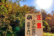 クマ殺処分めぐり「分断を煽るな」の声が... 秋田県議の対応に支持多数「想像力を働かせろください」