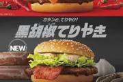 【画像】マクドナルドさん、またとんでもない期間限定商品を出してしまうwwwwwww